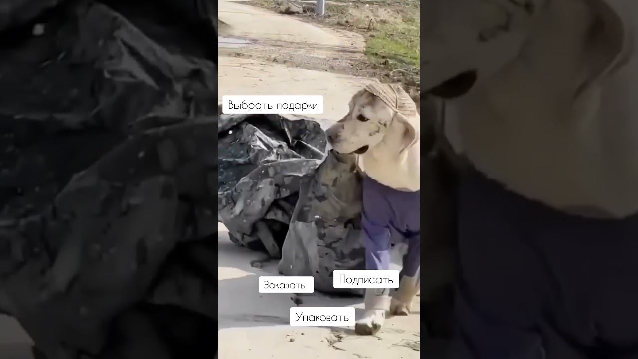 Как всё успевать #instavideo #recommended #tiktok
