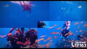 Jasmine Palace Resort Hurghada - جاسمين بالاس