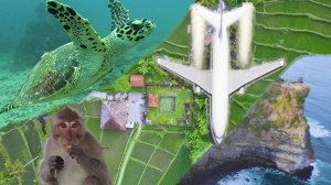 Travel to Bali Island / Путешествие по острову Бали / Indonesia / Индонезия / Часть №1