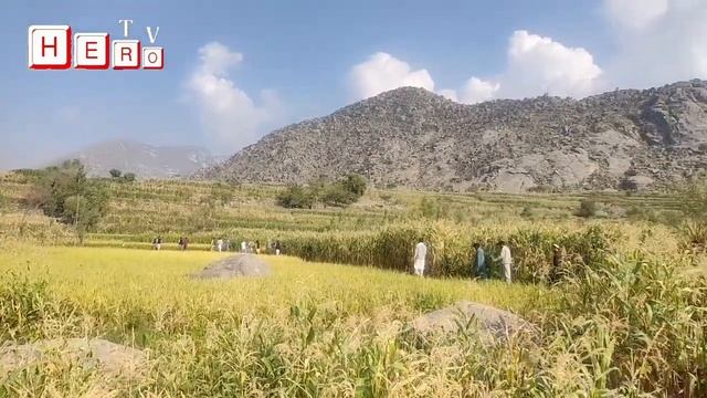 Laghman‘Kabul‘Kandahar‘Kunduz‘Nangarhar‘Herat‘Mazar watching all provinces Hero TV смотреть онлайн