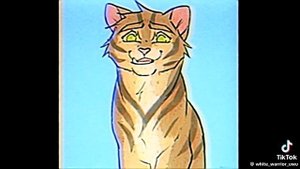 Утереный файл Метеора