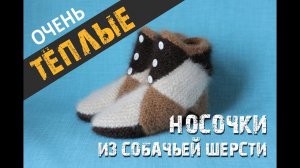 Носки из собачьей шерсти!