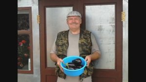 Срок посева баклажанов на рассаду