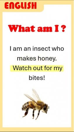 LEARN ENGLISH - WHAT AM I ? - BEE