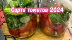 Обзор сортов томатов прошлого сезона