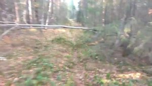 Костоусово. Бобровая плотина на Озёрной. Растерзанная куртка.