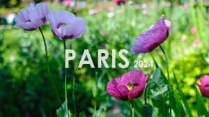 Париж - 2024. Часть 4