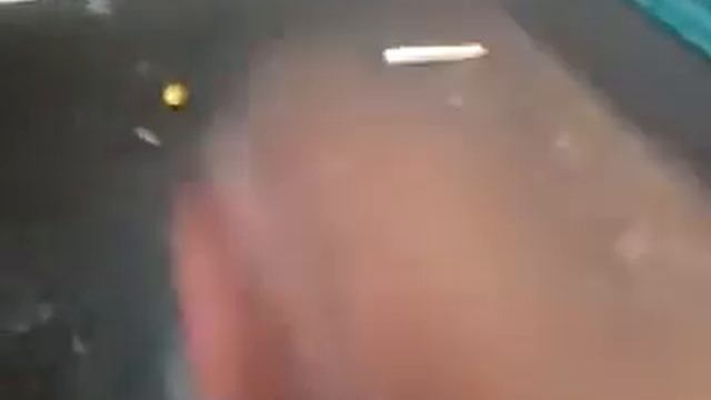 Что можно сделать из пластилина