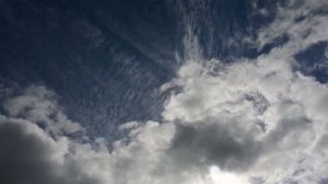 Ліна Костенко Крила - Людина нібито не літає… А крила має. А крила має!