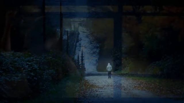 ION POPA- VÂNT CĂLĂTOR смотреть онлайн