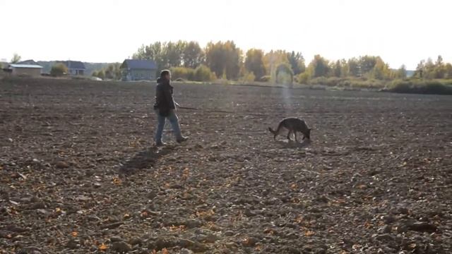 Asko FH смотреть онлайн