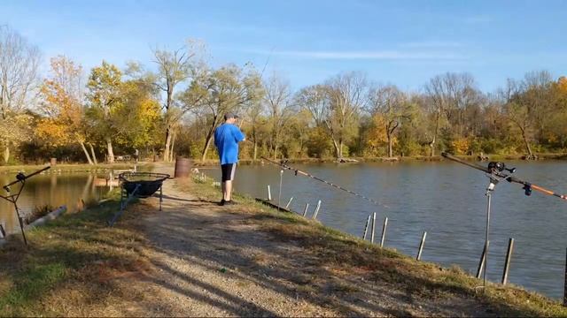 Live Carp Fishing 🎣 It's Windy Out Here смотреть онлайн