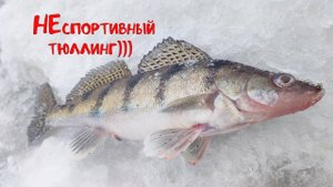 НЕспортивный тюллинг)))