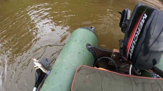 🎣БОЕВОЕ РАНЕНИЕ🎣#fishing#рыбалка#carpfishing#природа#рыбалка#ловля#рыбалка#ловлящуки#природа#щука
