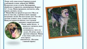 В ожидании семьи.