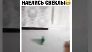 Дети наелись свеклы(прикол)