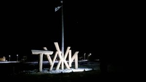 ТУЖИ. Начало 2025 года.