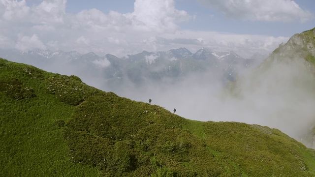 Vista Travel