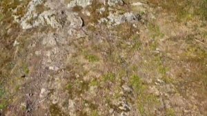 20190224 120554 Carding Mill Valley