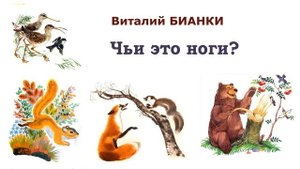 "Чьи это ноги?" (автор В.Бианки) - Слушать