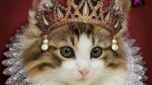 Разлучница