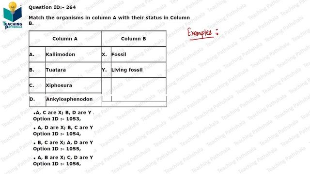 CSIR-NET FEB 2022 Solved Questions: SHIFT 2 || Evolution