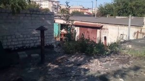 Бешеная собака