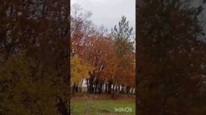 Муравьёвский парк, Амурский. Татьяна Ярош-Агапитова. Россия.