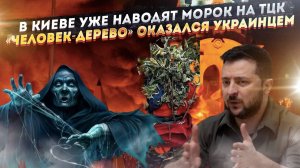 Колдуны Украины стали наводить морок на ТЦК! Доставший римлян «человека-дерево», оказался украинцем