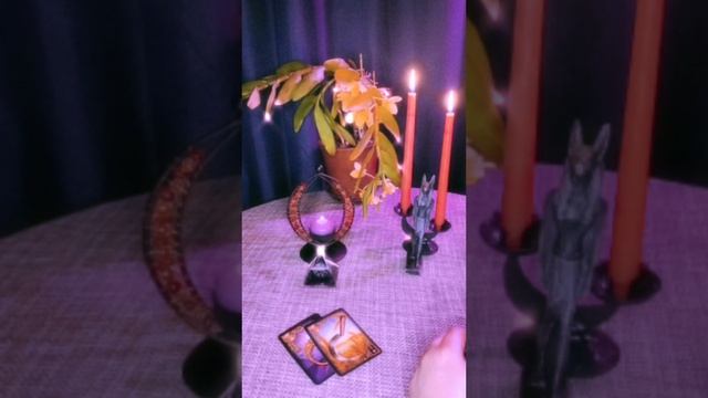 твоя мечта, желание, исполнение