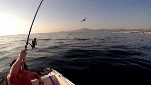 Рыбалка в Сочи. Челябинск рулит.