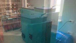 Украина Новополь 2020