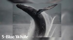10 Marine Mammal species Sounds | That Will Fascinate You! 🌊🐬