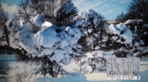 Дуэт-И. Рубанов  и Наталья  Бучинская с Прекрасной песней-Ну а Клен стоит еще Зеленый!