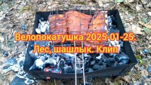 Велопокатушка 2025-01-25. Лес, шашлык. Клип