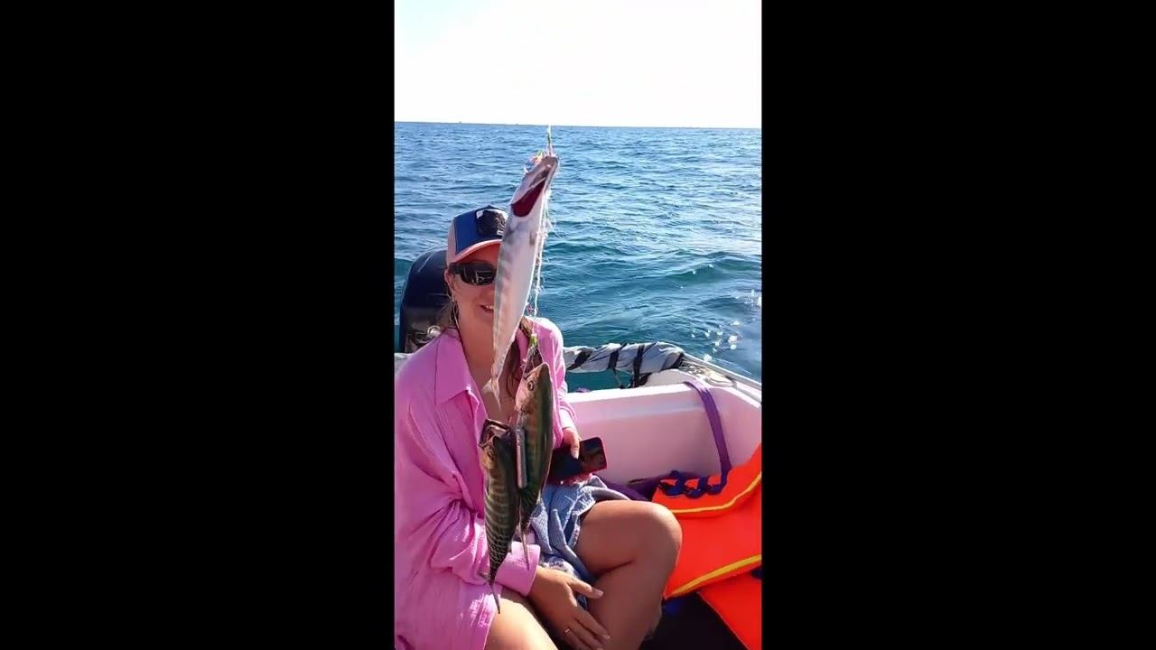 Два ряда зуб, это пеламида. смотреть онлайн