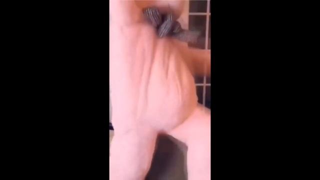 Belle Delphine shaking her strawberry lil ass смотреть онлайн