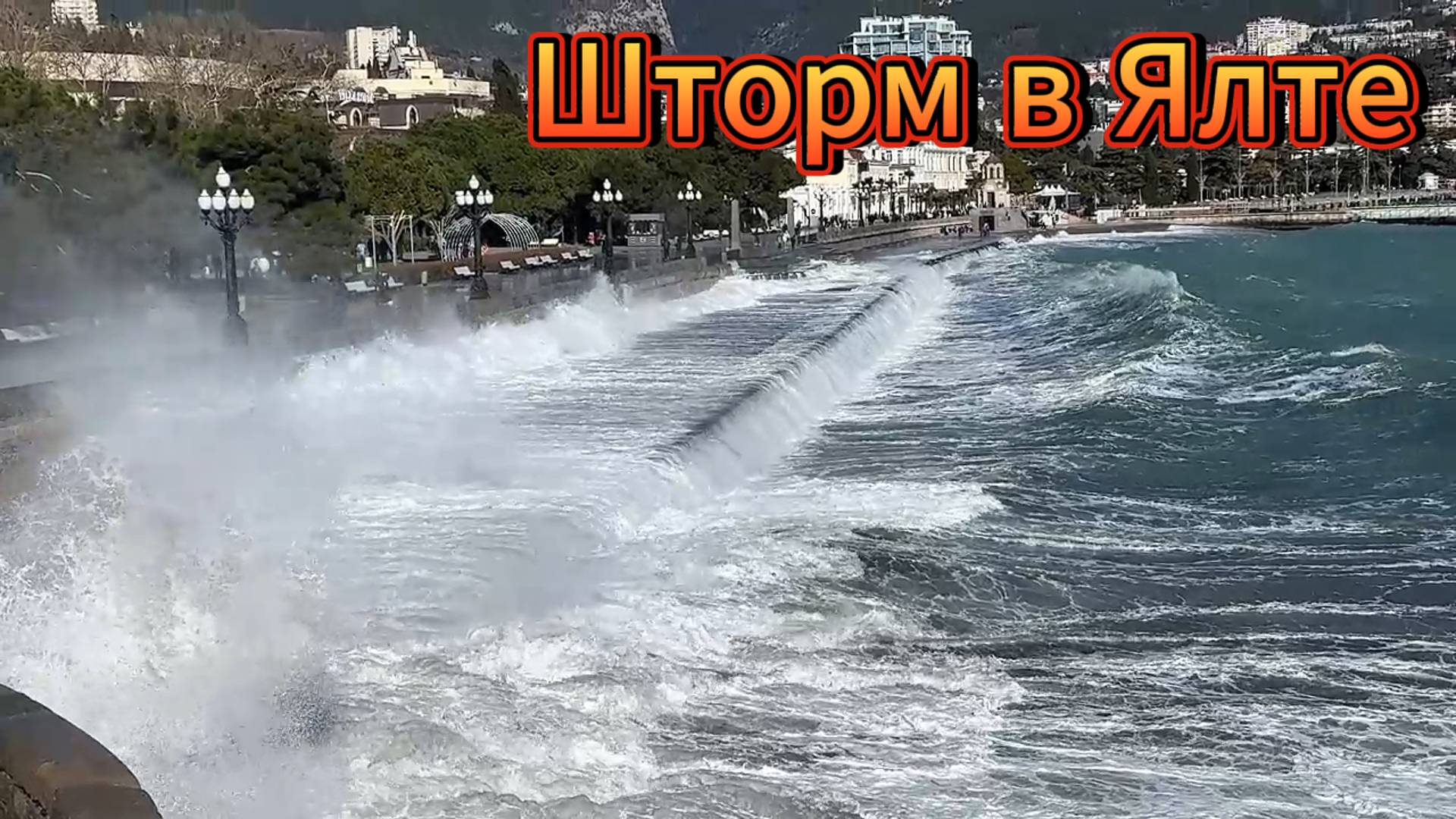 ШТОРМ В ЯЛТЕ .СОБАКИ