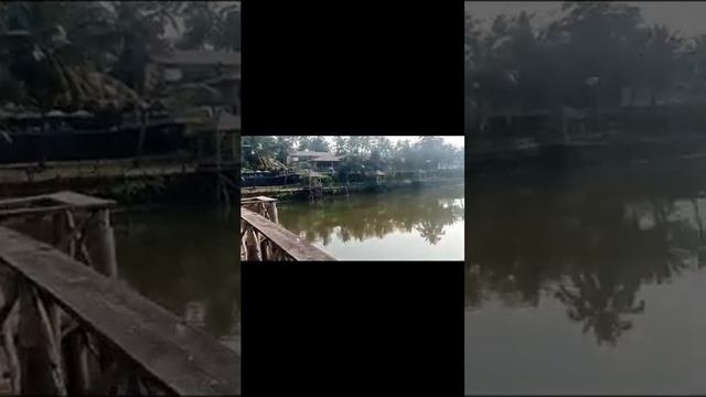 Индия 🇮🇳