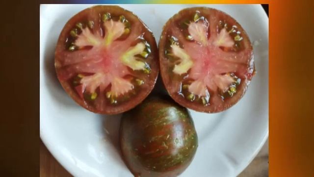 Коллекционный томат Большой полосатый кабан. г. Киров смотреть онлайн