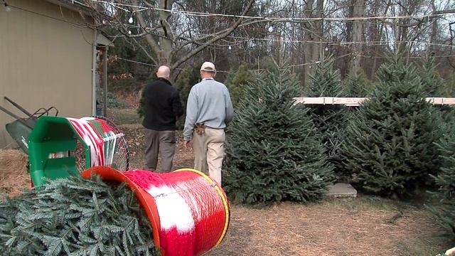 Christmas tree tips