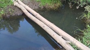 Шипиловский склон 04.07.21