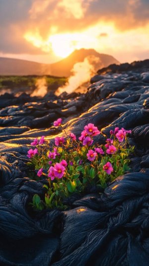 TheGennee – "Тихоокеанский Огненный Круг" альбом "Камчатка: Живая Земля"