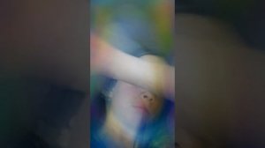 24 на 7 тигр