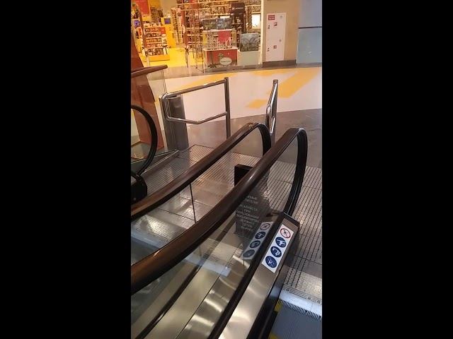 Ограничители для эскалатора из нержавейки. смотреть онлайн