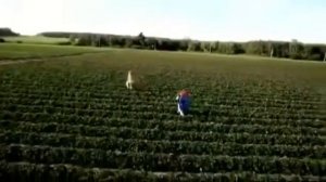 Реклама сока по русски