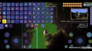 самый лучший сид в террарии