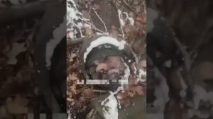 🇷🇺⚔️🇺🇦Результаты контрнаступления ВСУ в Курском приграничье
☠️Горы трупов украинских боевиков🔽