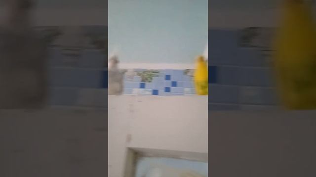 Гоша выпустил Арчи на свободу смотреть онлайн