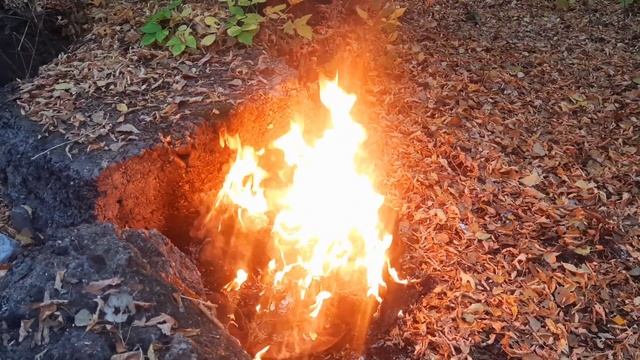 ЛЕСНОЙ РЕЛАКС-ВЛОГ🍁.Я в Салавате❤️.Костёр,новости и умиротворение🍂🔥